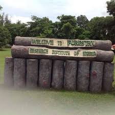 FRIN develops poly-herbal mixture for treatment of COVID-19 symptoms